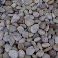 WHITE RAIN POLISHED 3/8"-5/8 PP9