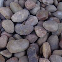 RED RAIN POLISH 1/2"-1 1/2 PP17