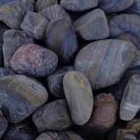 STRIPED RAIN POL 1-1/2-2-1/2 PP8