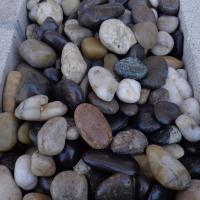 MIXED COLOR POL 1/2"-1 1/2" PP6