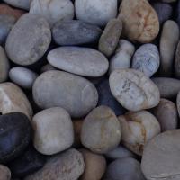 MIX COLOR POL 1 1/2-2 1/2 PP6A