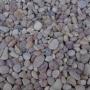 CORAL PEBBLES 1/2" P13