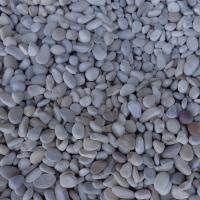 SEA IVORY PEBBLES 1/2" NP30A