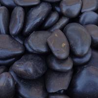 BLACK RAIN POL 1 1/2"-2 1/2 PP3