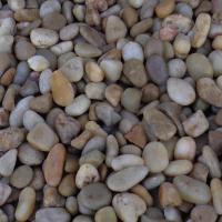 YELLOW RAIN POLISHED3/8-5/8 PP12