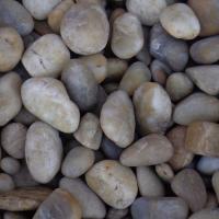 YELLOW RAIN POL 1/2"-1-1/2" PP13